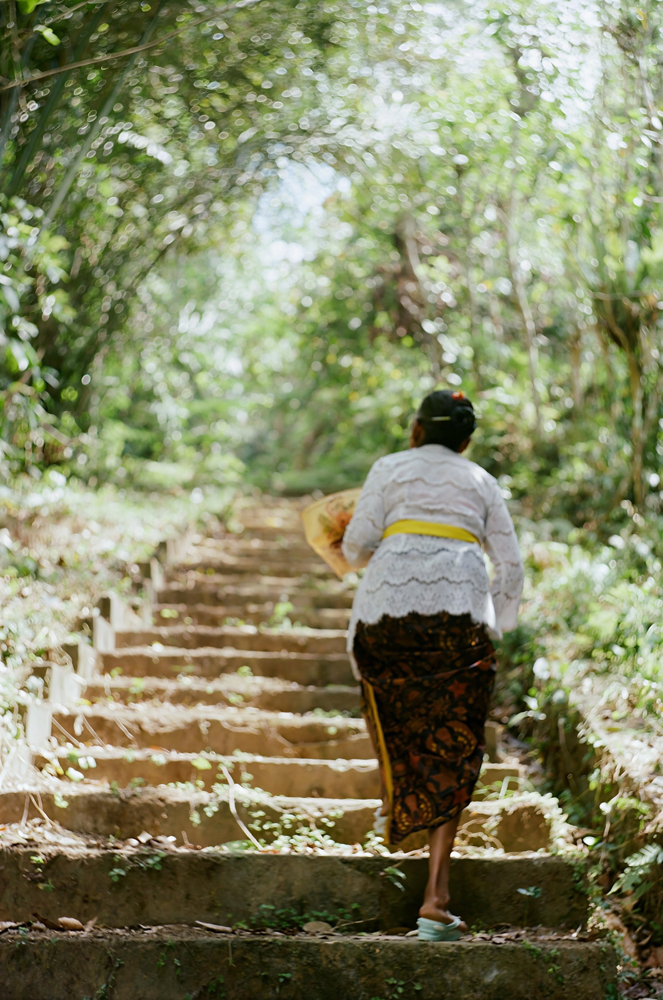A woman in a sarong climbing stone temple steps through the jungle in Bali