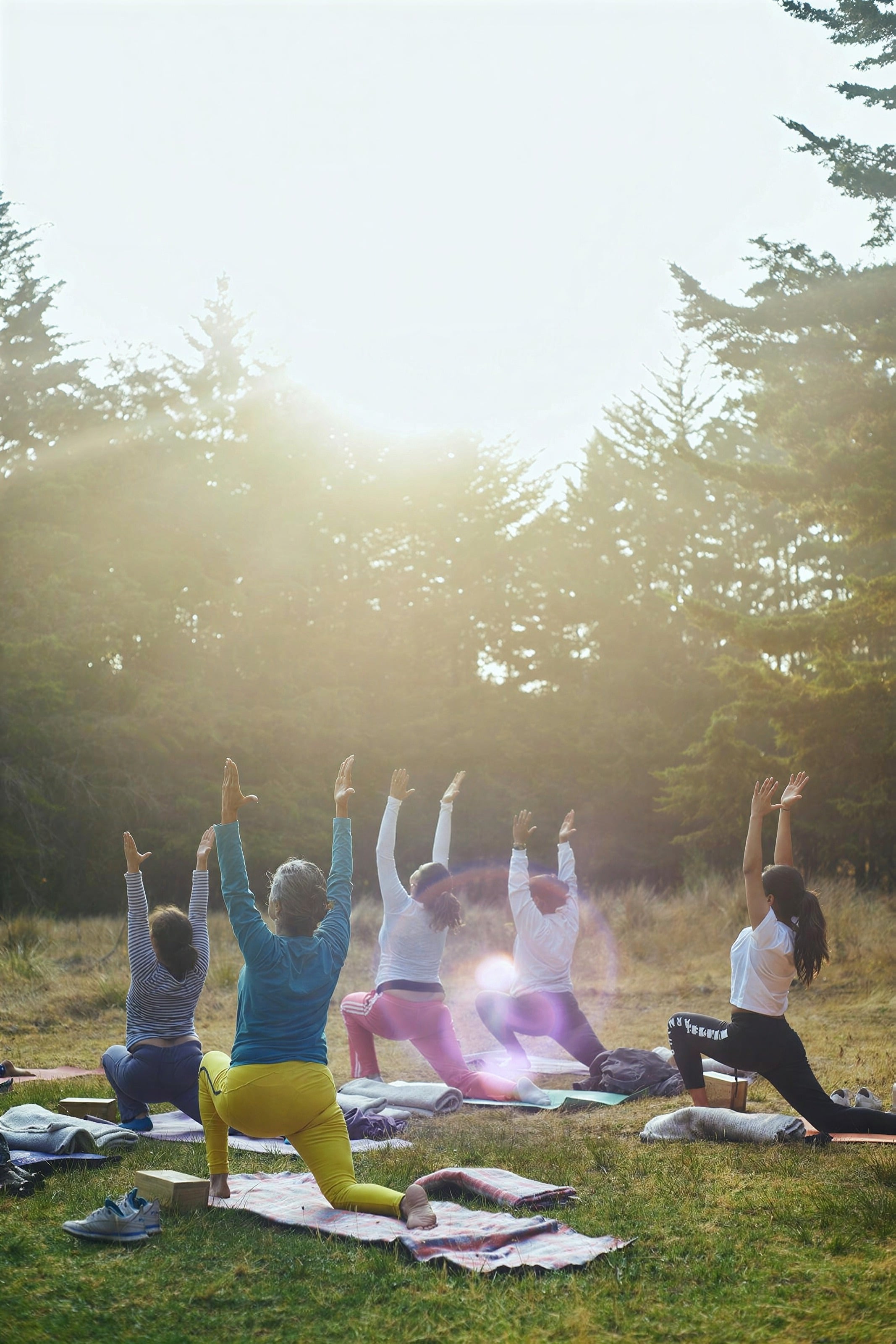 A small group practising yoga on mats in a sunlit forest clearing